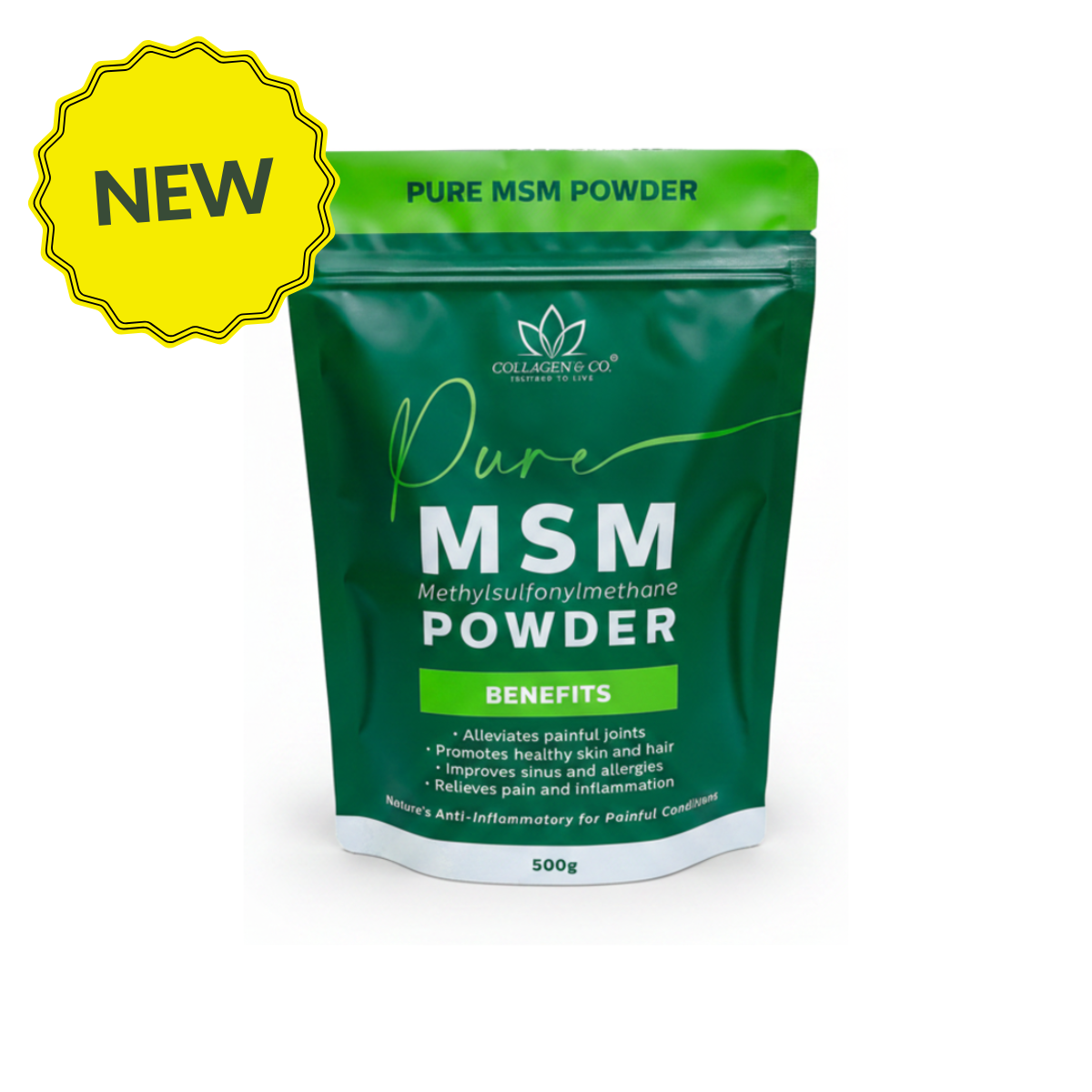 500g Pure MSM Powder Pouch